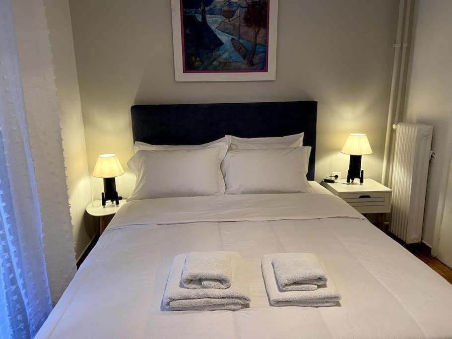 Cozy And Comfortable Apartment In Athens Center المظهر الخارجي الصورة